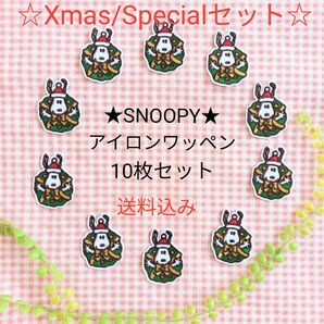 ☆Xmas/SNOOPYアイロンワッペン10枚セット☆