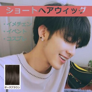 * free shipping *[27HO] men's wig dark brown short . wig man and woman use 