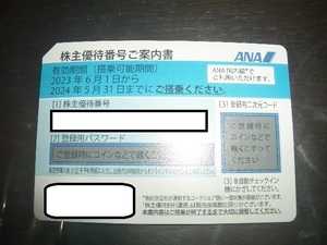 ♪ANA株主優待券1枚♪ 2024年5月31日まで【送料無料】