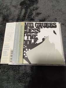 国内盤◆DAVID GRUBBS / A GUESS AT THE RIDDLE　デイヴィッド・グラブス　ガスタ・デル・ソル