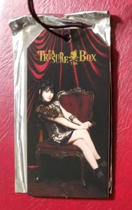 T-ARAbo Ram 2013 JAPAN TOUR TREASURE BOX багажный бирка Boram ver. быстрое решение не использовался Tiara Tour товары 