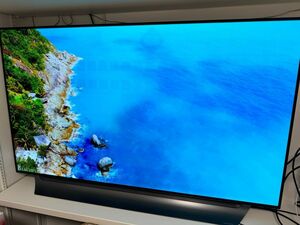 有機 EL テレビ　55型　4K 壁掛け　大画面　ディスプレイ　モニター　OLED55C8PJA