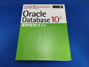  technology commentary company Oracle Database 10g exploitation control guide 