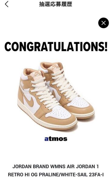 Nike Air Jordan 1 Retro High OG "Praline" ジョーダン1