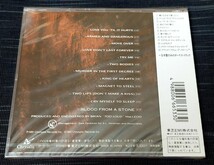 ★未開封 UNOPENED◆クリッシー・スティール/マグネット・トゥ・スティール CHRISSY STEELE/MAGNET TO STEELE 国内盤廃盤_画像2