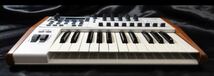 ARTURIA KEYLAB 25 ハイブリットシンセサイザー_画像4