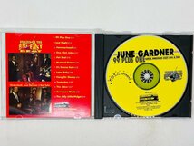 即決CD JUNE GARDNER / 99 PLUS ONE / Rare & Unreissued Jazzy Soul & Funk 1965 1970 Q01_画像3