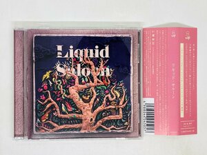 即決CD リキッド・サルーン Liquid Saloon ニタイ・ハーシュコビッツ 帯付き RINC047 Z52