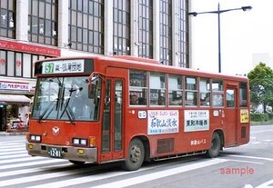 【バス写真】和歌山バス [9002175]