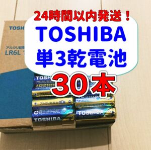 【最安値】 東芝 アルカリ乾電池 単3 TOSHIBA乾電池 単３電池 単三電池 単三 クーポン ポイント 消費 防災 備蓄 