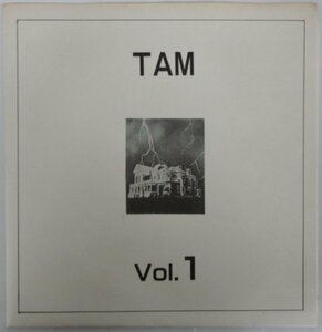 TAM / VOL.1 / ADK-03E フォノシート付き！［ザ・スターリン、THE STALIN、ゴジラ-破壊のテーマ-、G-ZET］中古シングル