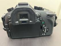 Panasonic LUMIX DC-FZ1000　【中古美品】_画像3