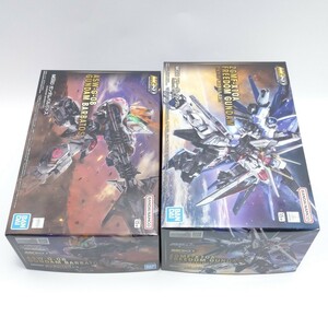 未組立 MGSD フリーダムガンダム ガンダムバルバトス 2点セット バンダイスピリッツ 機動戦士ガンダムSEED 鉄血のオルフェンズ ガンプラ