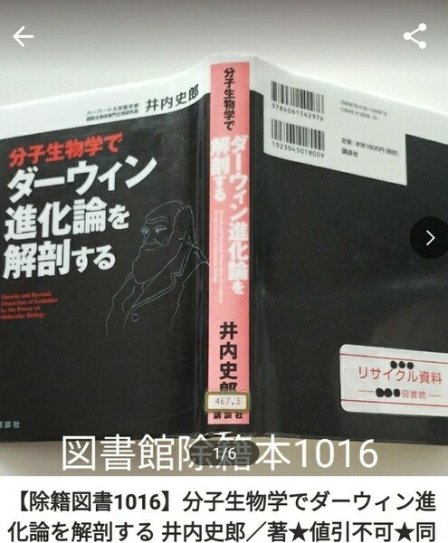 【図書館除籍本M12】分子生物学でダーウィン進化論を解剖する 井内史郎／著（図書館リサイクル本M12）（除籍図書M12）