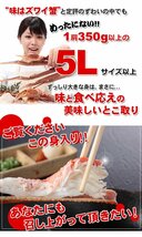 【50個出品】生 ズワイガニ 極上品 約 2kg 特大 5L 惚れ惚れ蟹 さんきん1円_画像3