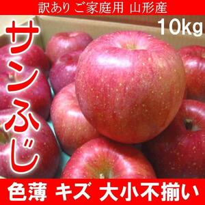 2個出品 予約 訳あり ご家庭用 山形産 サンふじ りんご 色薄 キズ 大小不揃い 10kg さんきん 1円 12月上旬頃より順次出荷予定