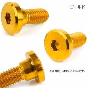 ブレーキ ディスク ローター ボルト M8×20mm P1.25 フラットヘッド ホンダ用 SUSステンレス製 ゴールド TD0136の画像2