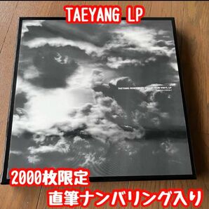 BIGBANG TAEYANG RISE BEST CORRECTION LP 韓国盤 レコード