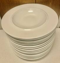 BIG SALE ★★おすすめ★★ MADE IN GERMANY SCHONWALD 6102 DISHES PALETTES ドイツ デナープレート 30cm★★15枚セット★★中古です。_画像2