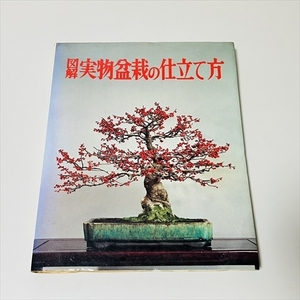 図解実物盆栽の仕立て方/昭和50年初版/誠文堂新光社/ガーデンライフ編集部