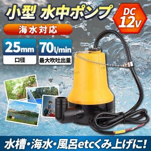 12V 電動 水中ポンプ 小型 水槽 海水 池用 屋外 ビルジポンプ 軽量 ボート 建設機械 キャンピングカー 農業 船舶 排水 汚水 70L 25mm ②