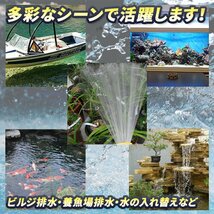 12V 電動 水中ポンプ 小型 水槽 海水 池用 屋外 ビルジポンプ 軽量 ボート 建設機械 キャンピングカー 農業 船舶 排水 汚水 70L 25mm ②_画像2