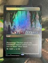 MTG 剃刀境の茂み/Razorverge Thicket　英語　Foil_画像1