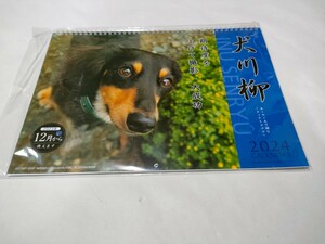 犬川柳　カレンダー　2024　ダックス　ダックス川柳　送料込み定形外郵便