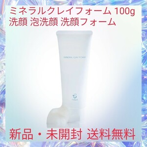 ミネラルクレイフォーム 100g 洗顔 泡洗顔 洗顔フォーム 毛穴対策 肌荒れ防止 保湿 水分保持機能 お肌の引き締め 潤いキープ ミネラル