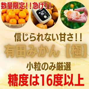 【秀品】甘い!小さいサイズ! 小玉の天使のみかん 有田みかん5kg　最高級　