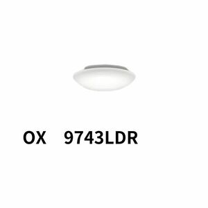 21220S02 オーデリック LEDシーリングライト リモコン付 OX9743LDR S