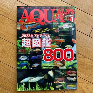 月刊アクアライフ ２０２２年１月号 （エムピージェー）