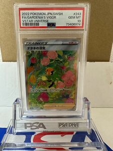 【PSA10最高評価】ナタネの活気 SAR 243/172 ポケモンカード 美品