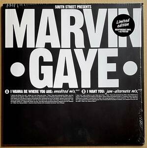 6:07 Unedited Mix I Wanna Be Where You Are / 4:52 Jam - Alternate Mix I Want You Marvin Gaye 12インチ 45回転高音質 Leon Ware