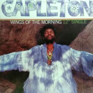12inchレコード　 CAPLETON / WINGS OF THE MORNING feat. METHOD MAN