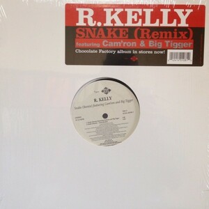 12inchレコード　 R. KELLY / SNAKE (REMIX)