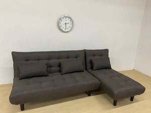  stylish sofa bed EJ-S013A BR