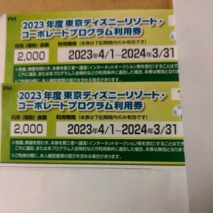 2023年度　東京ディズニーリゾート・コーポレートプログラム利用券　2000円利用(補助)券２枚　利用期間　2024/3/31まで