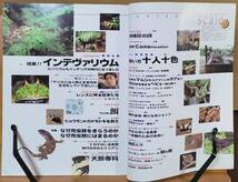 【貴重】伝説の爬虫類・両生類情報誌 scale スケイル　創刊号～最終11号まで全巻コンプリートセット　アートヴィレッジ発行_画像4