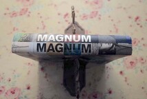 14777/写真集 マグナム・マグナム MAGNUM MAGUM コンパクトバージョン 完全日本語版 マグナムフォト ブリジット・ラルディノワ_画像7