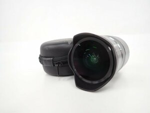 SONY E 30mm F3.5 Macro SEL30M35 単焦点マクロレンズ ソニーEマウント + フィッシュアイコンバーターセット △ 6C9D8-37