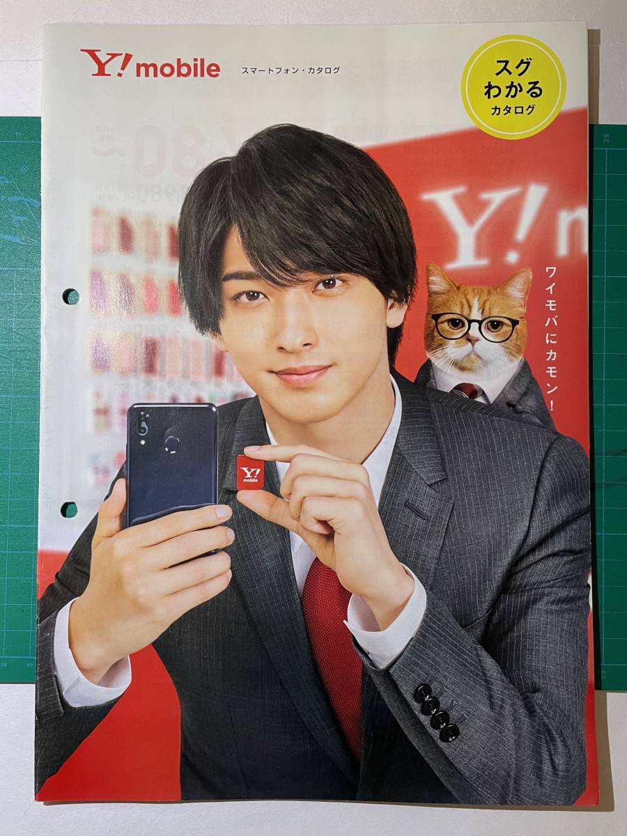 横浜流星 ワイモバイル 非売品ポスター 2025年最新】Yahoo!オークション -ワイモバイル(ポスター)の中古
