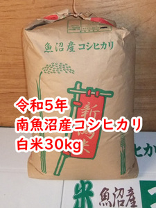 令和5年★南魚沼産コシヒカリ★白米30kg★産地直送