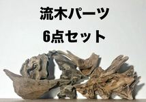 流木パーツ6個セット[煮沸消毒/研磨済]アクアリウム 水槽レイアウト 爬虫類飼育 ブセ モス 水草活着 インテリア オブジェ 流木アートに_画像1