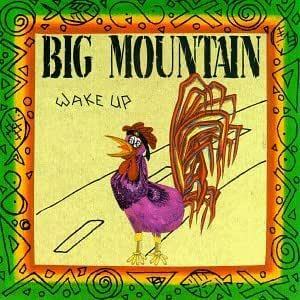 Wake Up ビッグ・マウンテン 輸入盤CD