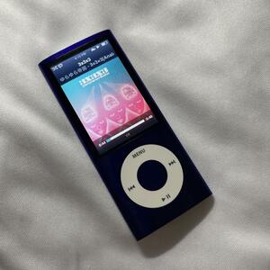 Apple ipod nano アイポッドナノ 第5 16G A1320 パープル