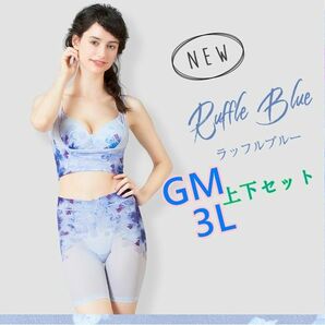 ドクターメソッド スリビー ラッフルブルー 上GM 下3Lセット DR METHOD