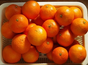 柑橘・サザンレッド　無農薬ノーワックス　約4ｋｇ