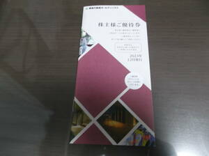 東急不動産ホールディングス　株主優待券