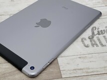 AU SIMフリー バッテリ84% iPad mini 4 Wi-Fi+Cellular 128GB MK762J/A スペースグレイ 第4世代_画像7